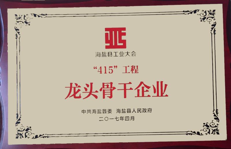龍頭企業(yè).jpg
