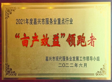 2021年度嘉興市畝產(chǎn)效益