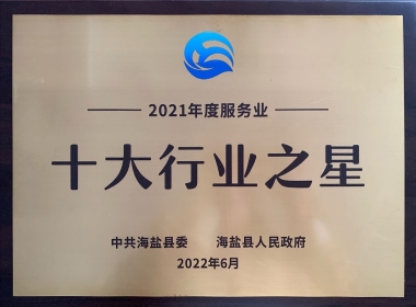2021年度服務(wù)業(yè)十大行業(yè)之星