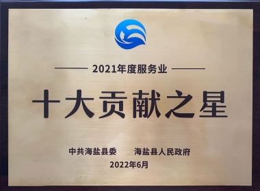 2021年度服務(wù)業(yè)十大貢獻(xiàn)之星
