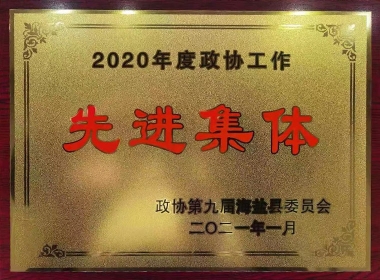 2020年度政協(xié)工作先進(jìn)集體