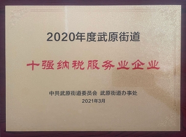2020年度十強(qiáng)納稅服務(wù)業(yè)企業(yè)