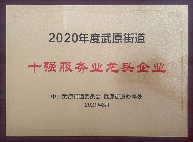 2020年度十強(qiáng)服務(wù)業(yè)龍頭企業(yè)