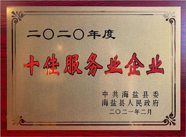 2020年度十佳服務(wù)業(yè)企業(yè)