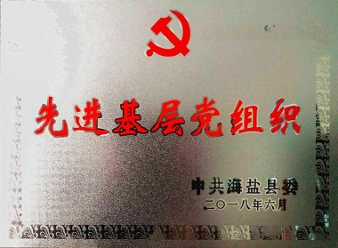 2018年先進(jìn)黨組織