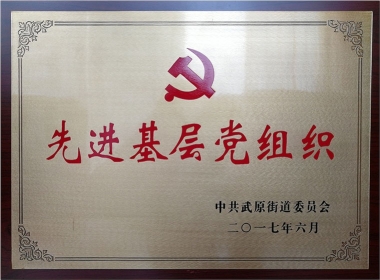 2017先進(jìn)基層黨組織