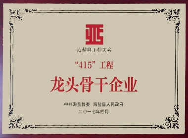2017年海鹽縣415工程龍頭骨干企業(yè)