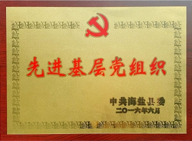 2016先進(jìn)基層黨組織
