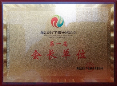 生產(chǎn)性服務(wù)業(yè)會(huì)長(zhǎng)單位