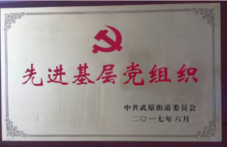 恭喜我司黨支部榮獲“先進(jìn)基層黨組織”稱號