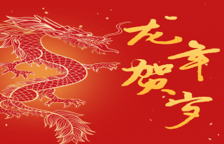 志道典“核”丨2024龍行龘龘，前程朤朤，生活??，百業(yè)駸駸，志氣玱玱