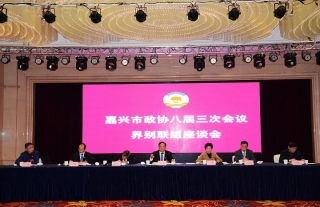 集團(tuán)公司董事長(zhǎng)李董在嘉興市政協(xié)八屆三次會(huì)議上積極建言獻(xiàn)策