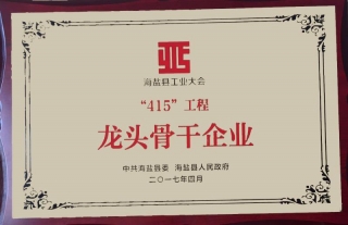 “神”祗忠勤丨公司榮獲“415”工程龍頭骨干企業(yè)稱號(hào)